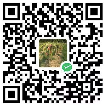 微信支付收款码